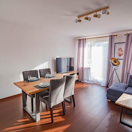 Duze W Centrum Z Widokiem Шклярска-Поремба Экстерьер фото
